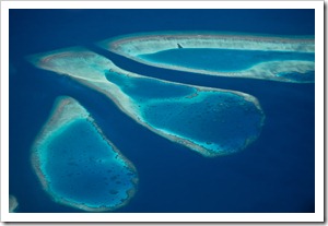 20100331_MAL_000-29