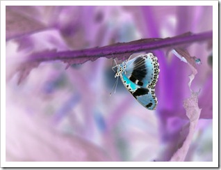 20110611_LON_143
