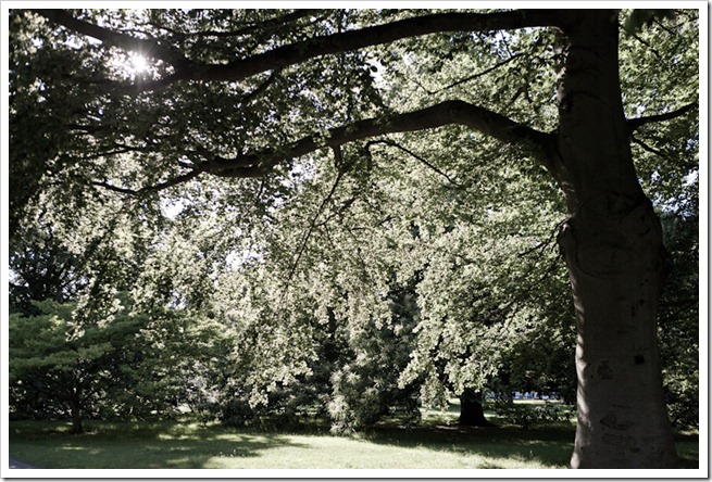 20110626_LON_358