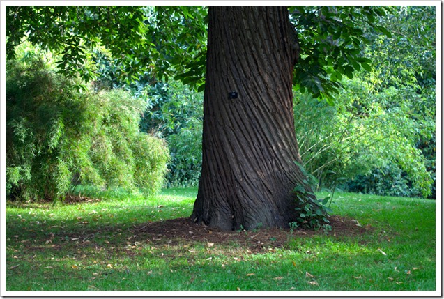 20110731_LON_223-Edit