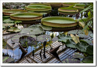 20120908_LON_192