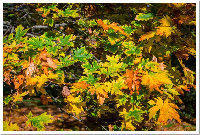 20121014_LON_007