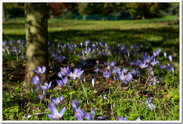 20121014_LON_035