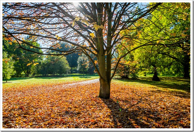 20121014_LON_037
