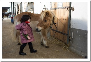 20121224_RX100_036