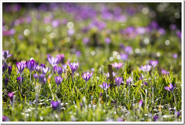 20130217_LON_011