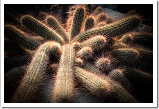 20130217_LON_014