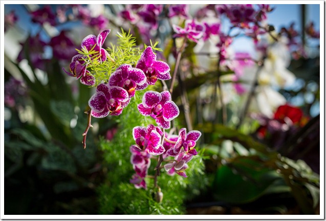 20130217_LON_023