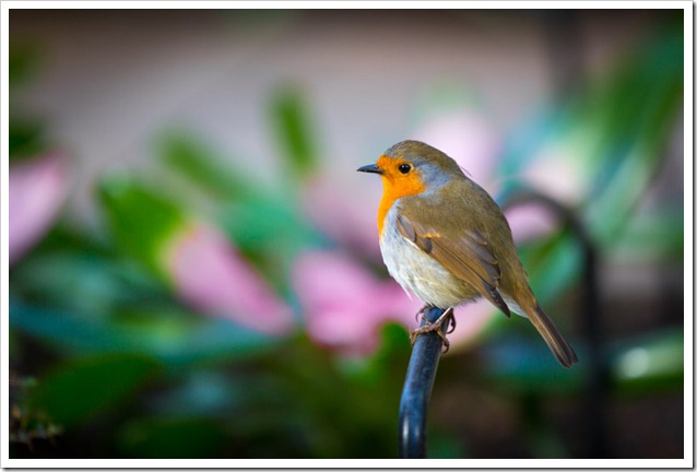20130217_LON_028