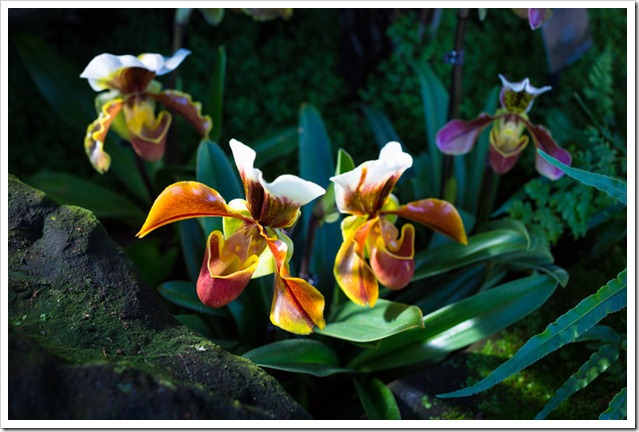 20130217_LON_054