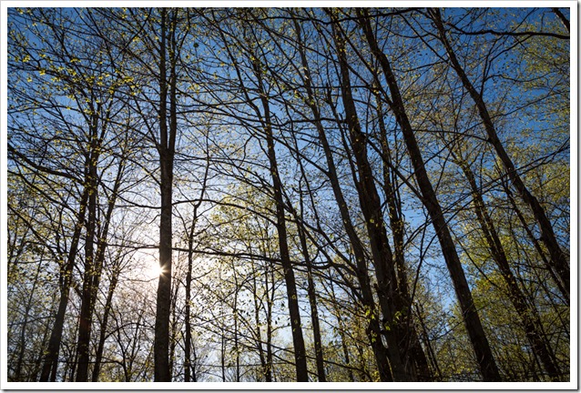 20130504_QBC_603